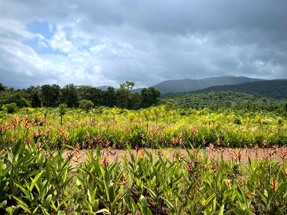 מלון Vichondrem The Postcard Hideaway, Netravali Wildlife Sanctuary, Goa מראה חיצוני תמונה