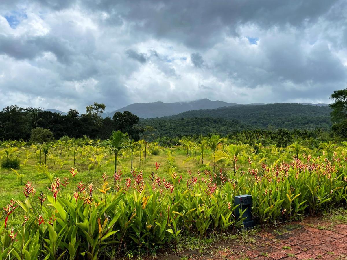 מלון Vichondrem The Postcard Hideaway, Netravali Wildlife Sanctuary, Goa מראה חיצוני תמונה