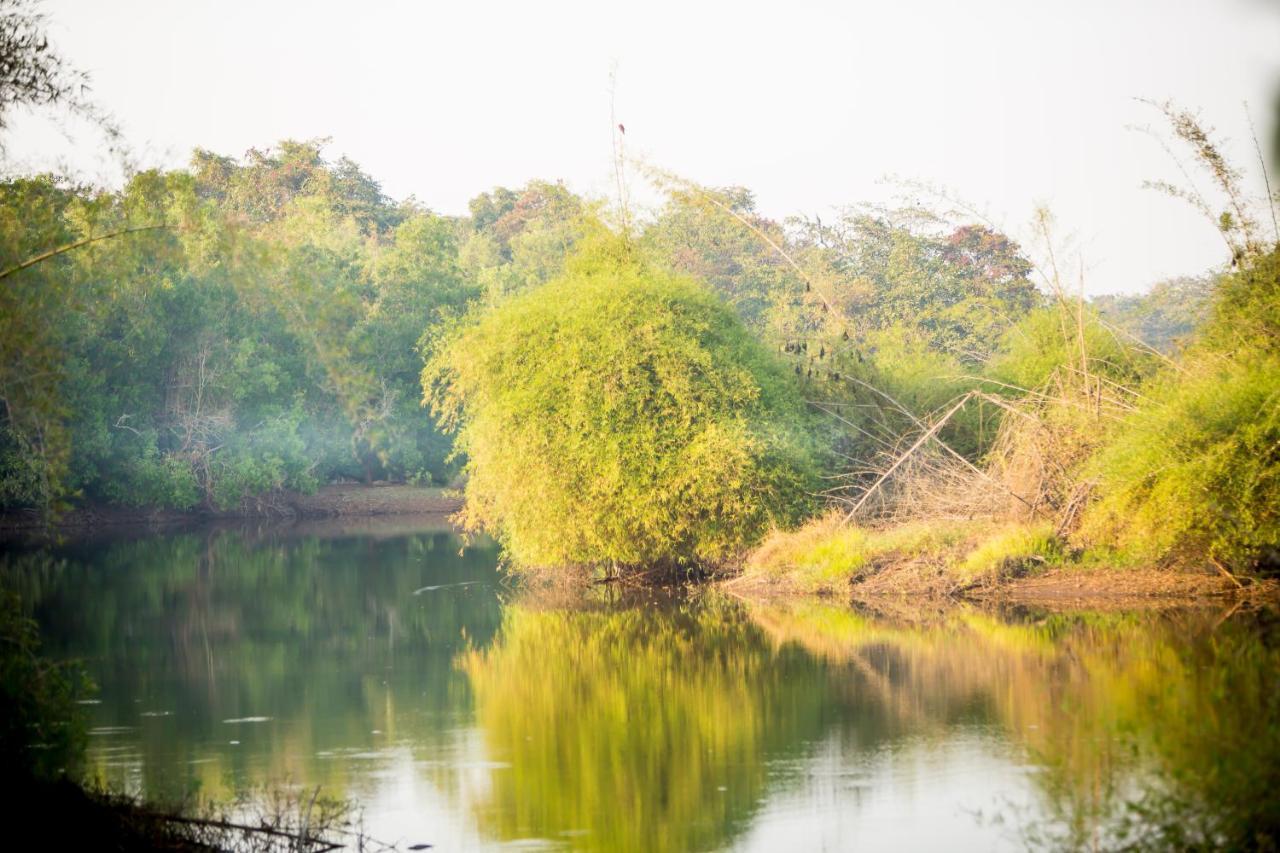 מלון Vichondrem The Postcard Hideaway, Netravali Wildlife Sanctuary, Goa מראה חיצוני תמונה