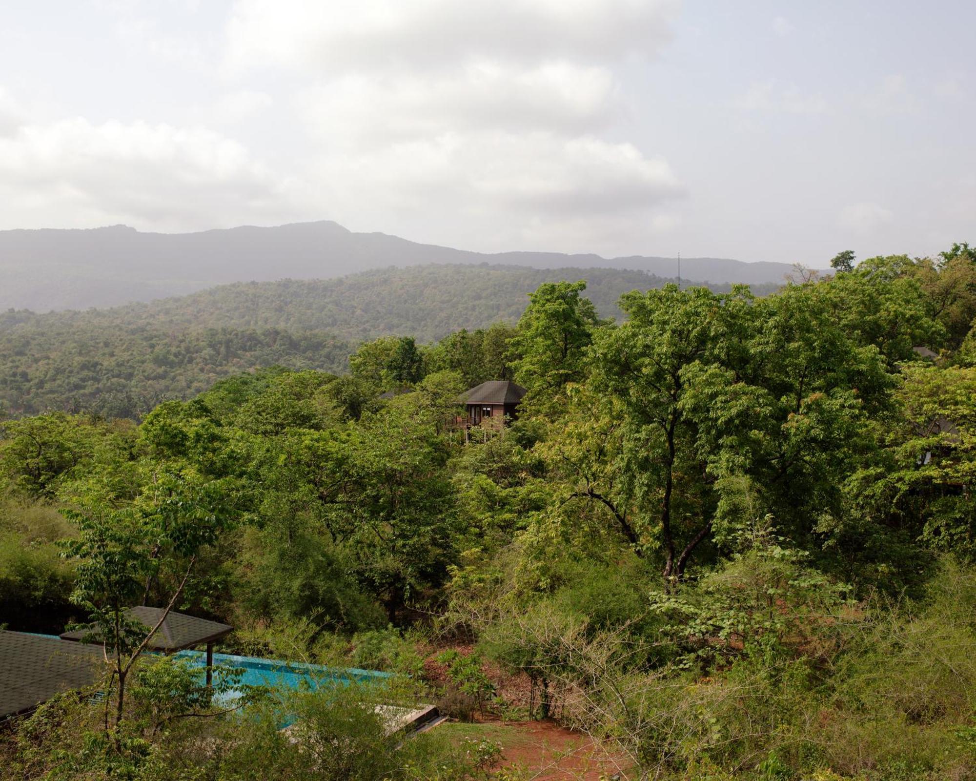 מלון Vichondrem The Postcard Hideaway, Netravali Wildlife Sanctuary, Goa מראה חיצוני תמונה