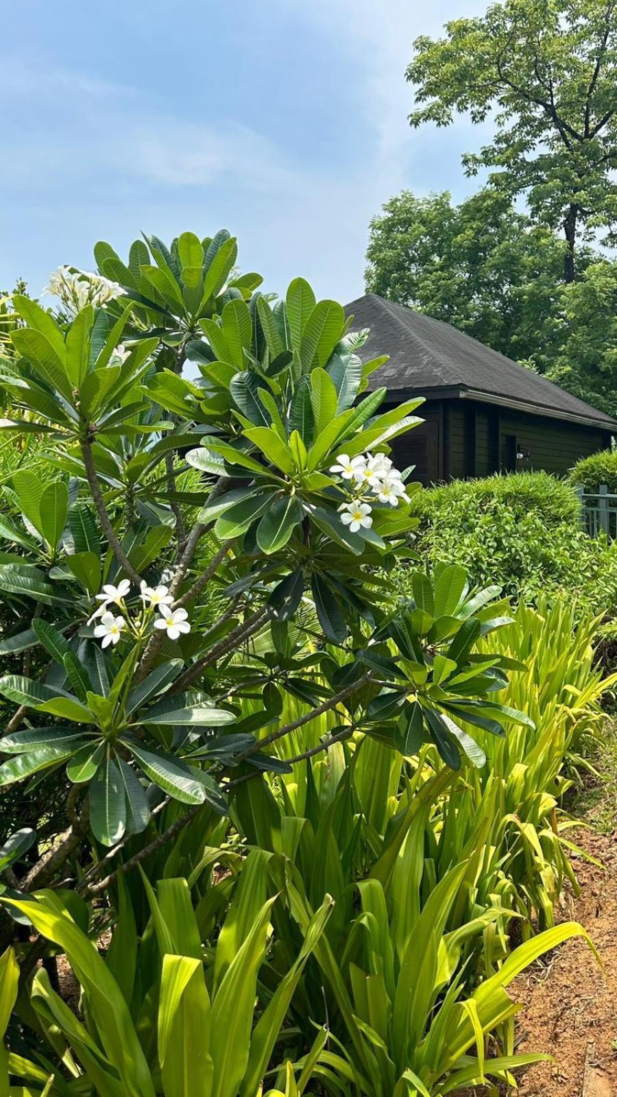 מלון Vichondrem The Postcard Hideaway, Netravali Wildlife Sanctuary, Goa מראה חיצוני תמונה