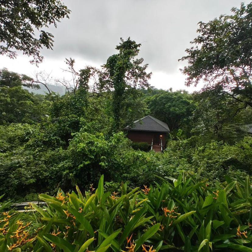 מלון Vichondrem The Postcard Hideaway, Netravali Wildlife Sanctuary, Goa מראה חיצוני תמונה