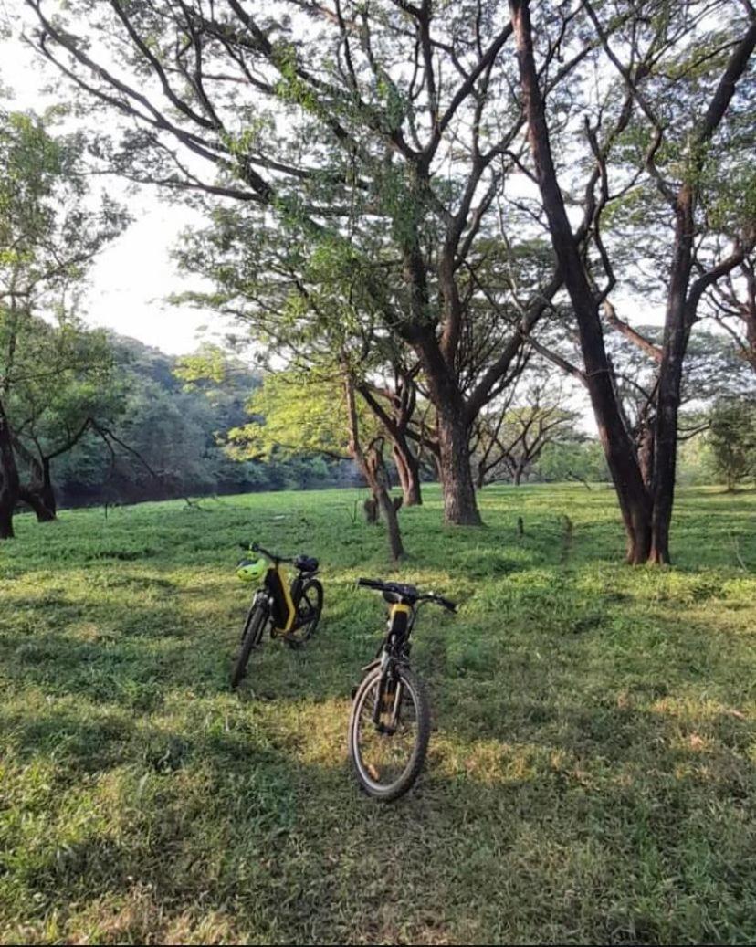 מלון Vichondrem The Postcard Hideaway, Netravali Wildlife Sanctuary, Goa מראה חיצוני תמונה